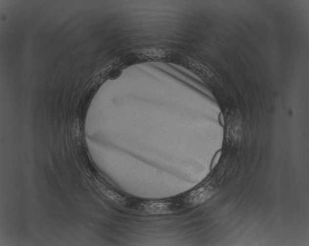 X0000067900518200605041621