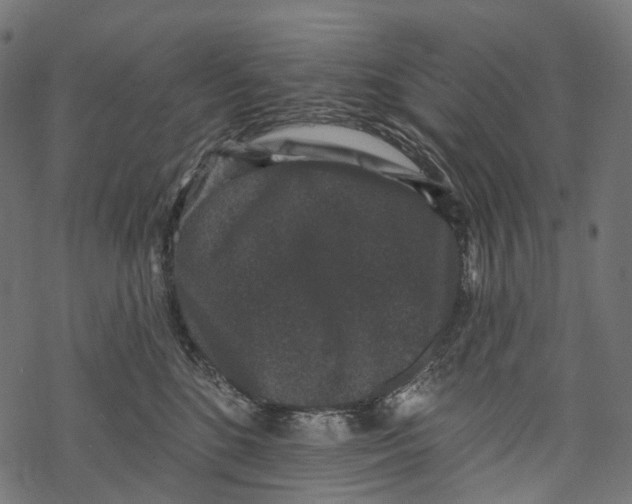 X0000067900520200605041621