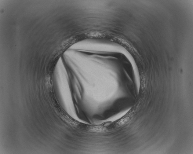 X0000067900521200605041621