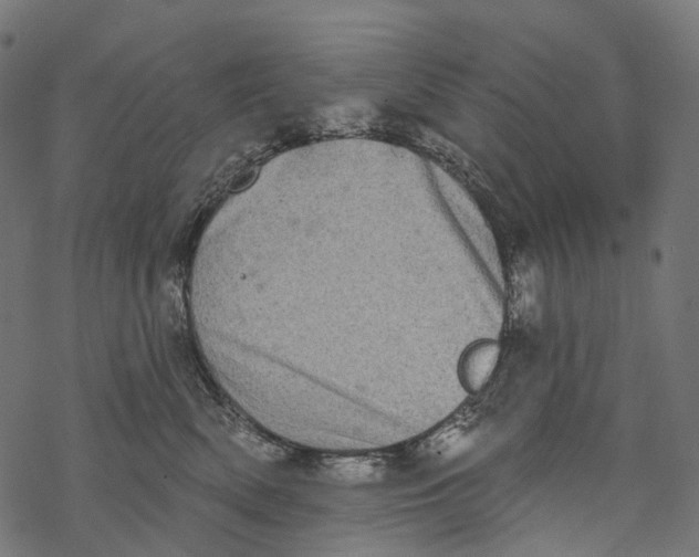 X0000067900522200605041621