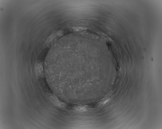 X0000067900523200605041621