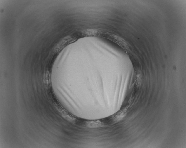 X0000067900525200605041621