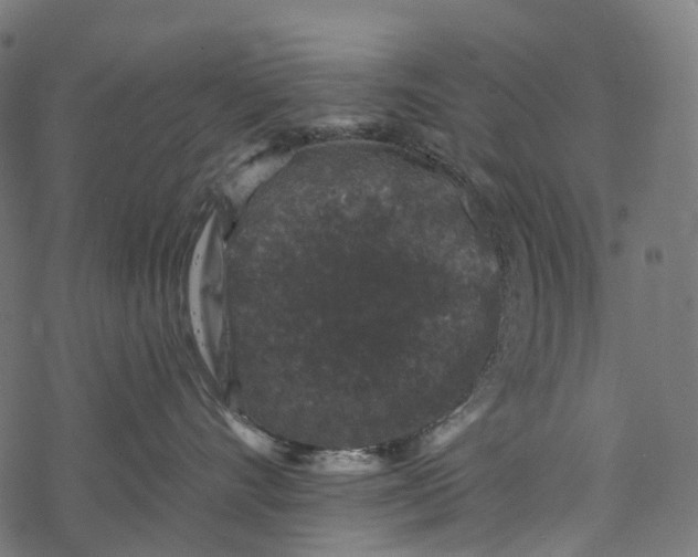 X0000067900528200605041621