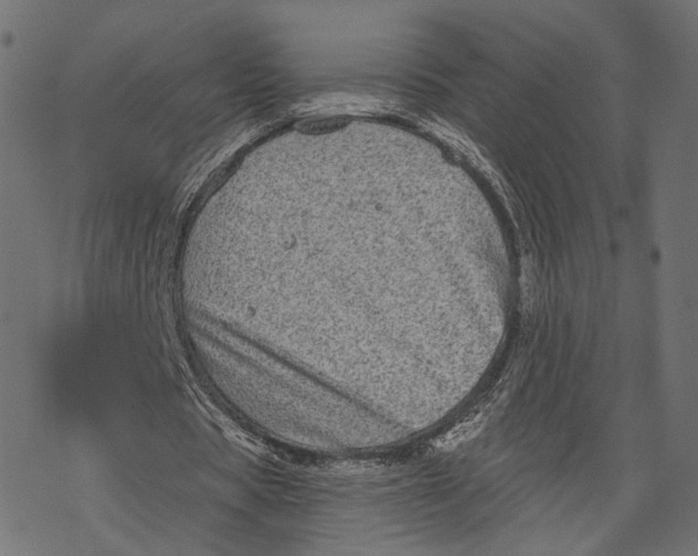 X0000067900529200605041620