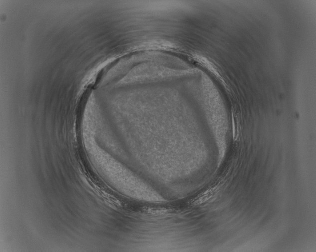 X0000067900531200605041620