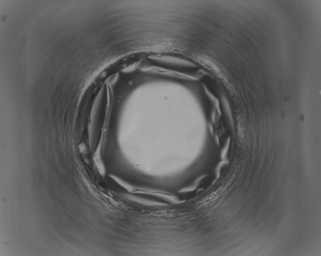 X0000067900532200605041620