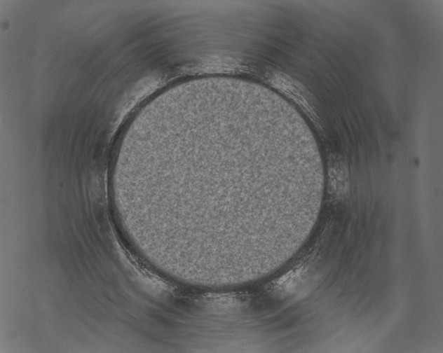 X0000067900534200605041620