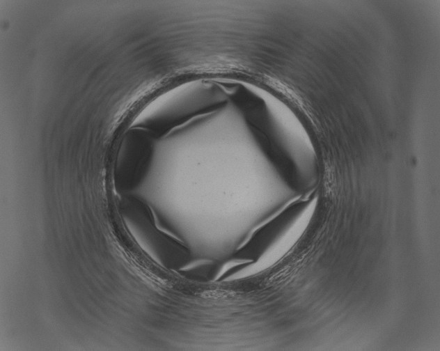 X0000067900535200605041620