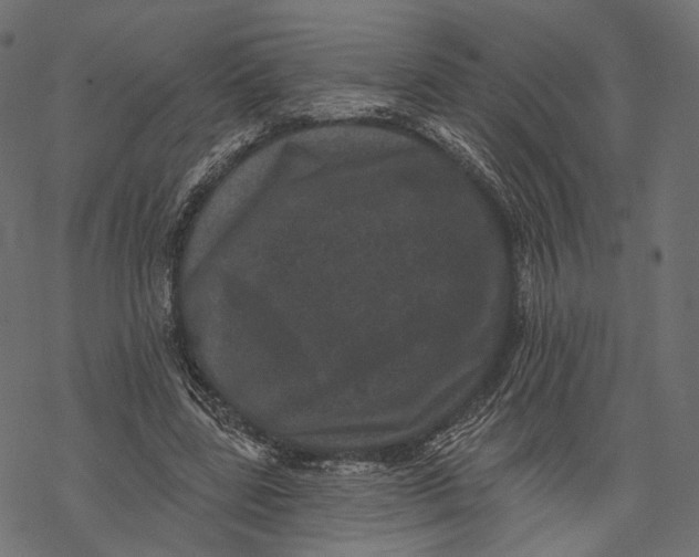 X0000067900539200605041620