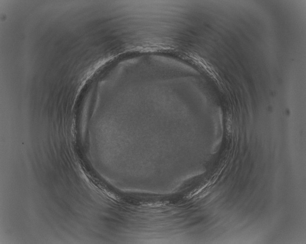 X0000067900540200605041620