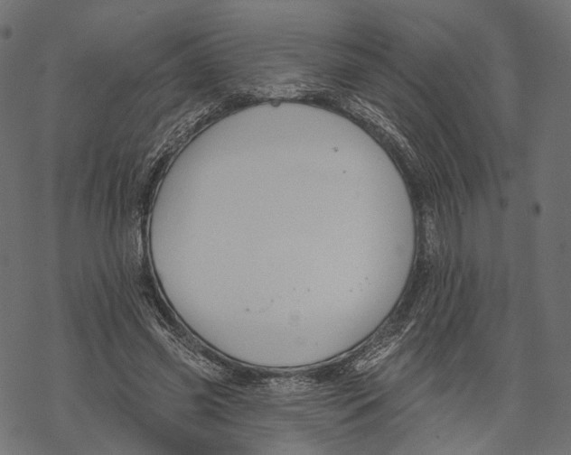 X0000067900541200605041620