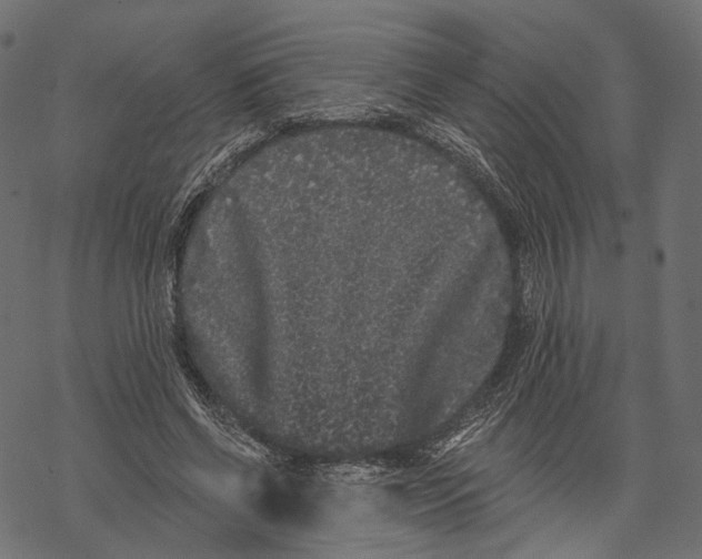 X0000067900542200605041620