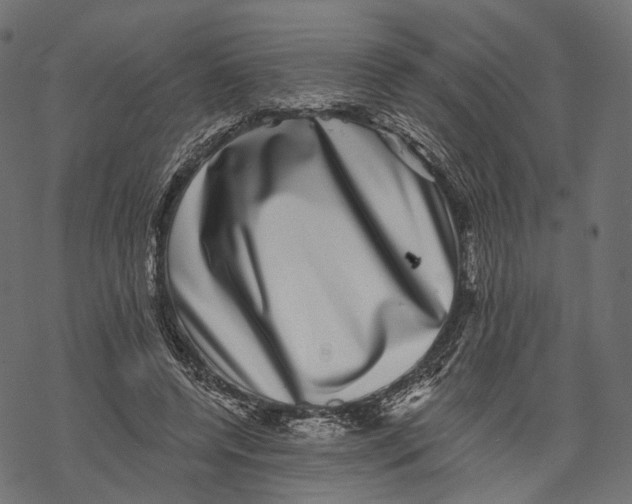 X0000067900544200605041620