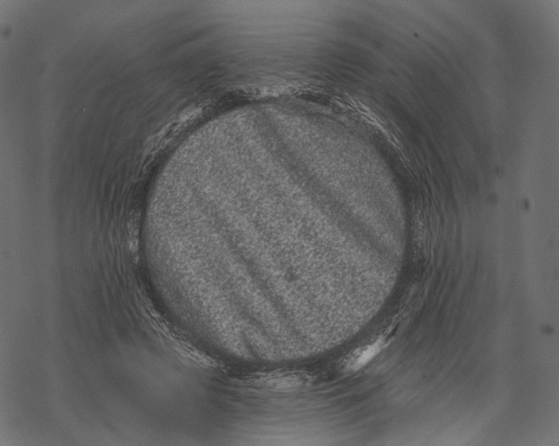 X0000067900545200605041620