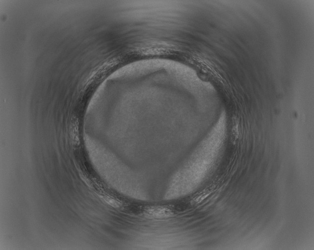 X0000067900547200605041620