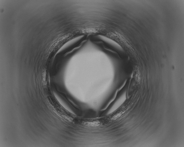 X0000067900548200605041620