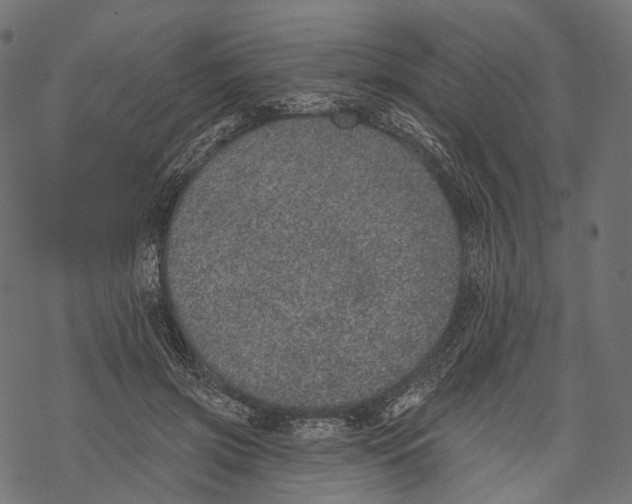 X0000067900549200605041620