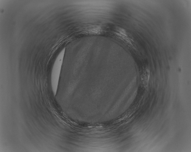 X0000067900552200605041620