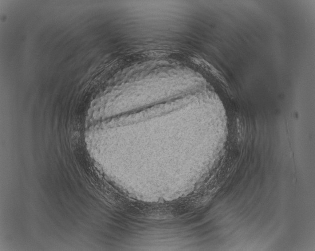 X0000067900553200605041620