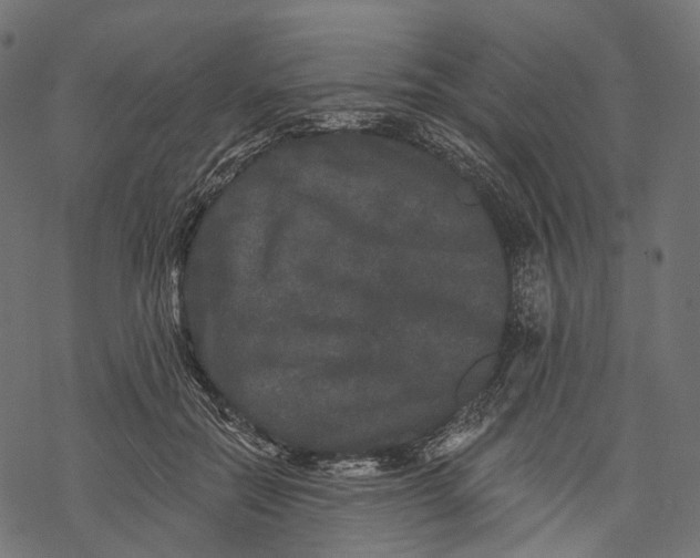 X0000067900554200605041620