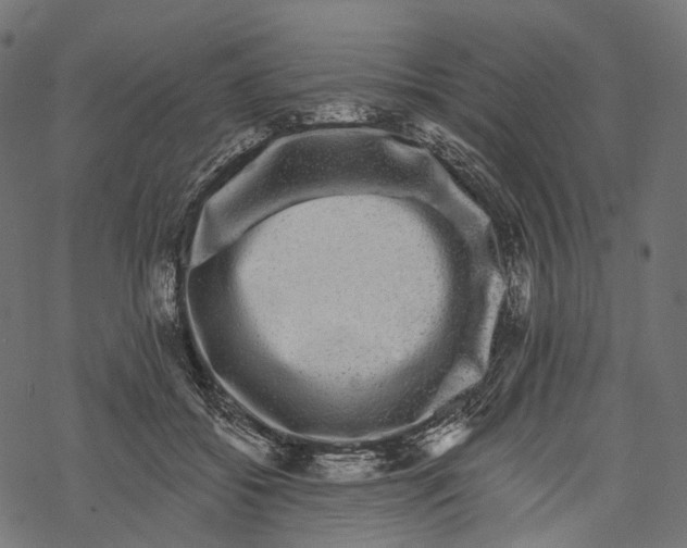 X0000067900556200605041620