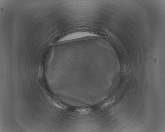 X0000067900558200605041620