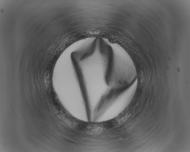 X0000067900559200605041620