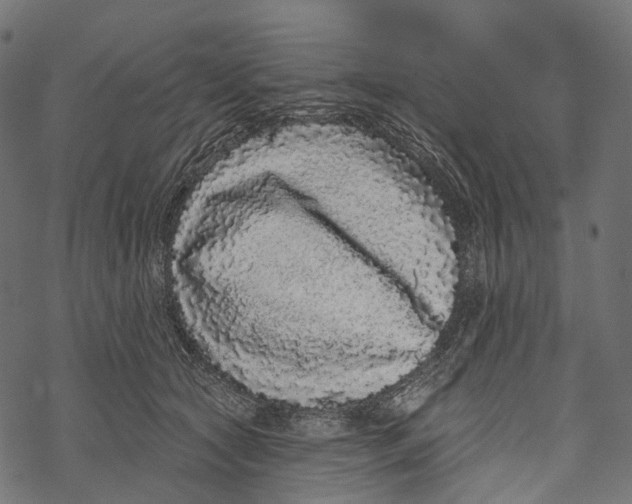 X0000067900561200605041621