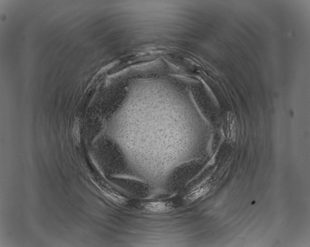 X0000067900562200605041621