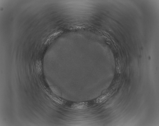 X0000067900563200605041621