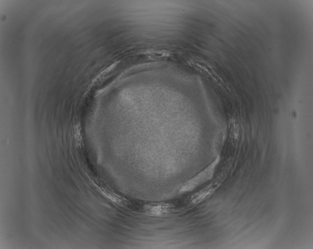 X0000067900564200605041621