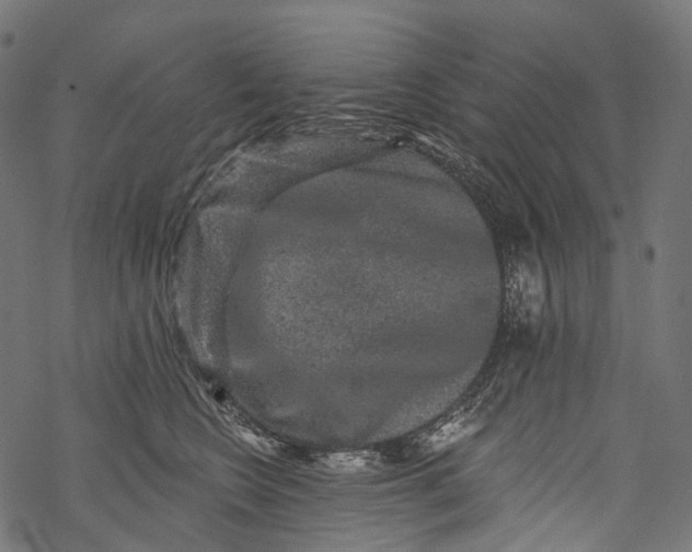 X0000067900566200605041621