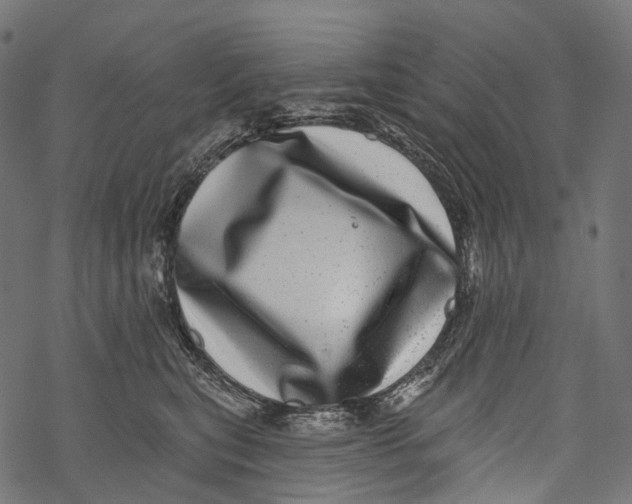 X0000067900567200605041621