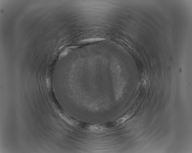 X0000067900568200605041621