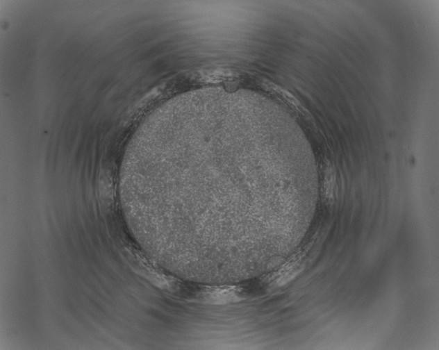 X0000067900569200605041621