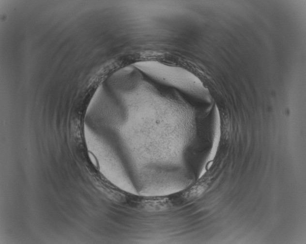 X0000067900571200605041621