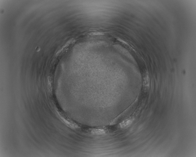 X0000067900572200605041621