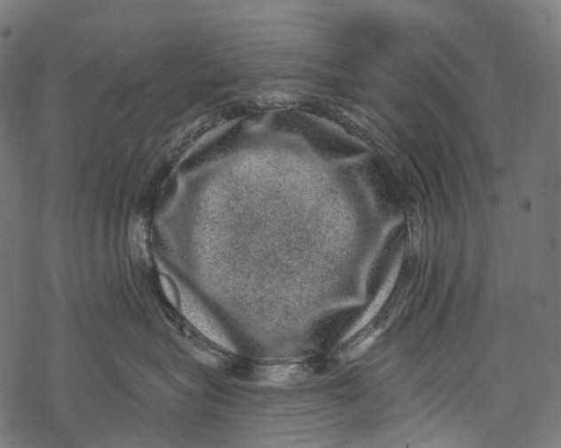 X0000067900575200605041621