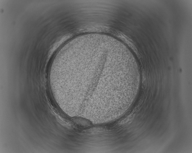 X0000067900578200605041620