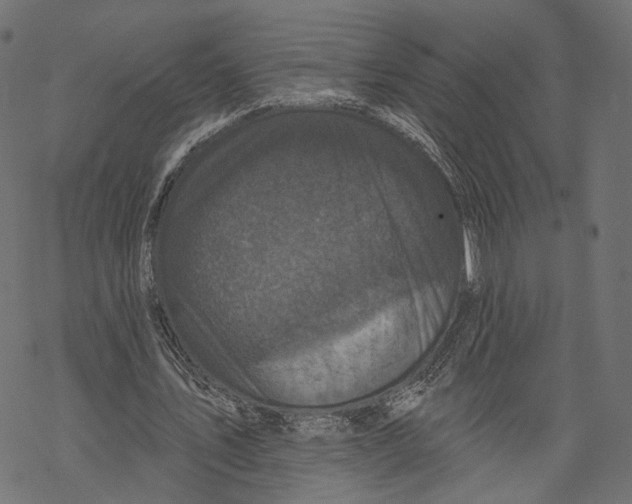 X0000067900579200605041620