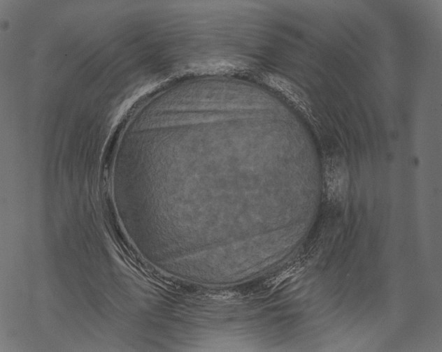 X0000067900583200605041620