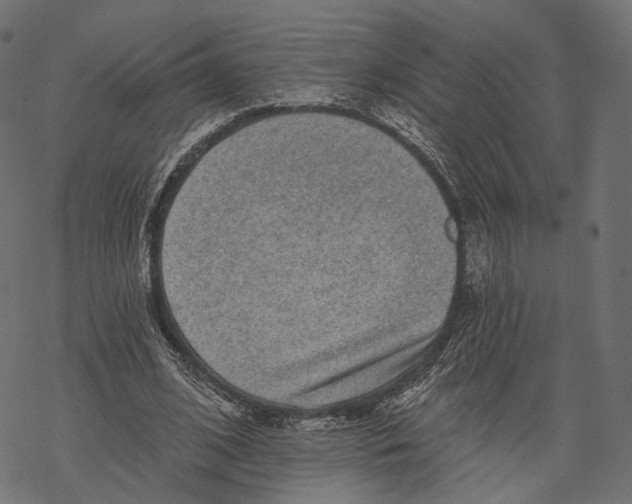 X0000067900584200605041620