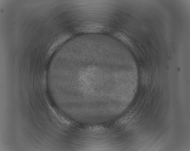 X0000067900586200605041620