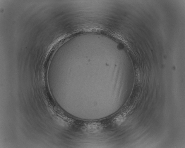 X0000067900587200605041620