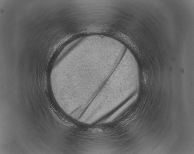 X0000067900588200605041620