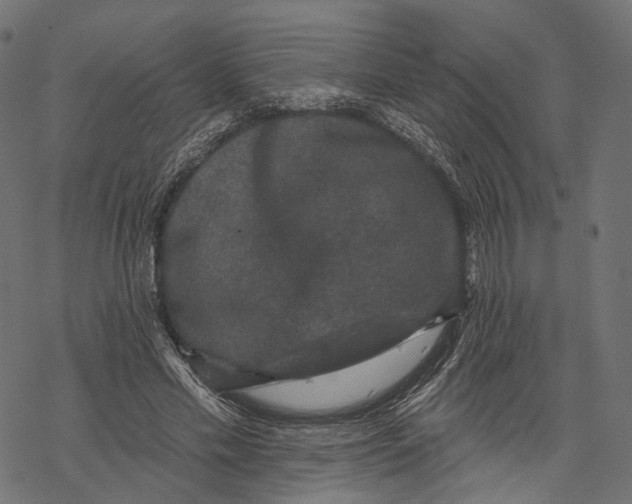 X0000067900589200605041620