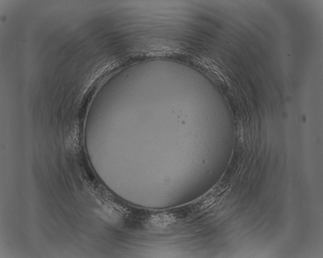 X0000067900591200605041620