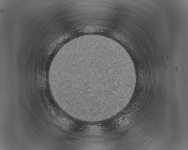 X0000067900592200605041620