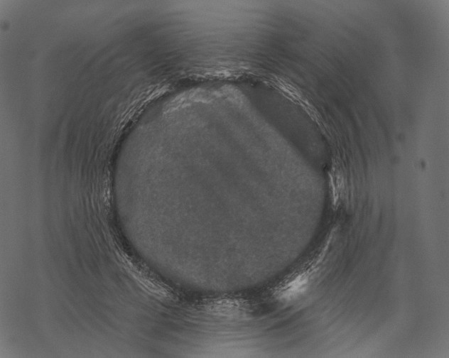 X0000067900593200605041620