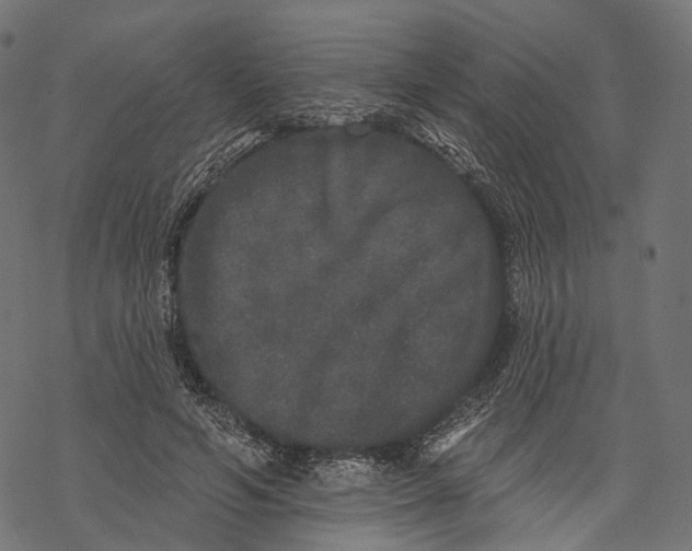 X0000067900594200605041620